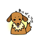 まめ犬たろう（個別スタンプ：18）