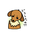 まめ犬たろう（個別スタンプ：19）