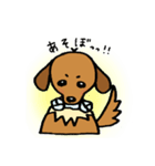 まめ犬たろう（個別スタンプ：20）
