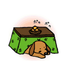 まめ犬たろう（個別スタンプ：21）