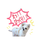 ミルクの毎日スタンプ（個別スタンプ：4）