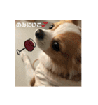 佐藤家のちゃちゃまるくん02（個別スタンプ：3）