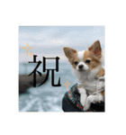 佐藤家のちゃちゃまるくん02（個別スタンプ：10）