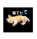 佐藤家のちゃちゃまるくん02（個別スタンプ：12）