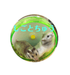 ぽむすたんぷ2（個別スタンプ：12）