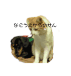 楽しい家族たち1（個別スタンプ：3）