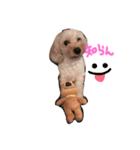 可愛い犬たち 第2弾（個別スタンプ：2）