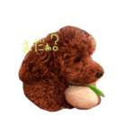 可愛い犬たち 第2弾（個別スタンプ：3）