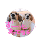 ゃぉぃの（個別スタンプ：6）