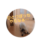 ゃぉぃの（個別スタンプ：7）