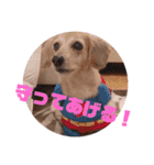 ゃぉぃの（個別スタンプ：17）