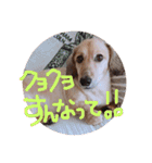 ゃぉぃの（個別スタンプ：26）