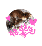 ゃぉぃの（個別スタンプ：31）