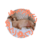 ゃぉぃの（個別スタンプ：32）