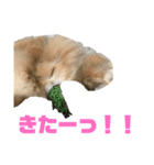 モカちんです。（個別スタンプ：6）