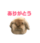モカちんです。（個別スタンプ：7）