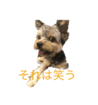わるがきソラ（個別スタンプ：8）