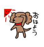 ゆるいトイプースタンプ（個別スタンプ：1）
