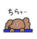 ゆるいトイプースタンプ（個別スタンプ：21）