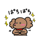 ゆるいトイプースタンプ（個別スタンプ：30）