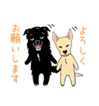 ネロ＆ロロ（個別スタンプ：11）