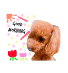 れんれんとラブリ（個別スタンプ：6）