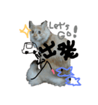 もふもふランちゃん（個別スタンプ：7）