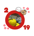 もふもふランちゃん（個別スタンプ：12）