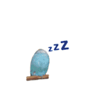 ほんわか、とりさんスタンプ3【実写版】（個別スタンプ：20）