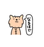 なおき+いぬ（個別スタンプ：12）