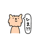 なおき+いぬ（個別スタンプ：32）