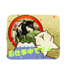 KS nana（個別スタンプ：1）