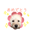 くっち（個別スタンプ：10）
