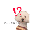 くっち（個別スタンプ：13）