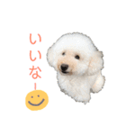 くっち（個別スタンプ：16）