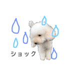 くっち（個別スタンプ：17）