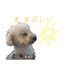 くっち（個別スタンプ：23）