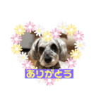 ピースふる♡（個別スタンプ：2）