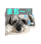 ピースふる♡（個別スタンプ：3）