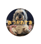 ピースふる♡（個別スタンプ：5）