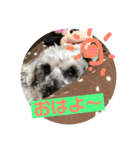 ピースふる♡（個別スタンプ：8）
