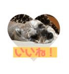 ピースふる♡（個別スタンプ：9）