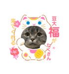もちもちファミリーのお正月（個別スタンプ：2）