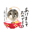 もちもちファミリーのお正月（個別スタンプ：3）