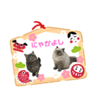 もちもちファミリーのお正月（個別スタンプ：6）