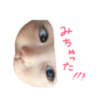 波乱万丈な兄妹（個別スタンプ：1）