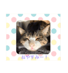 うめと仲間たち（個別スタンプ：1）