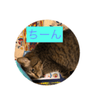 うめと仲間たち（個別スタンプ：6）