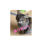 うめと仲間たち（個別スタンプ：8）