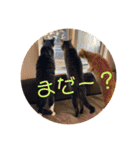 うめと仲間たち（個別スタンプ：17）